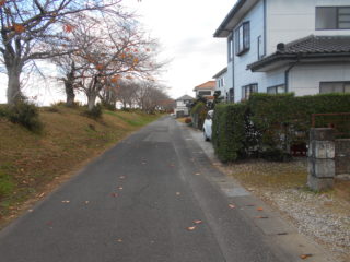 接道（東側）