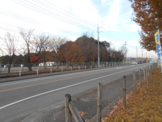 接道(西側）