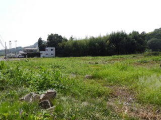 原野
