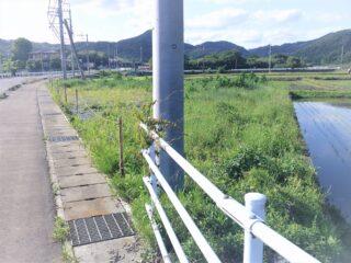 DSCF0016.jpg