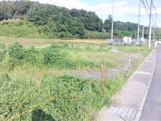 DSCF0019.jpg