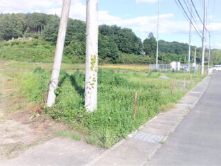 DSCF0021.jpg