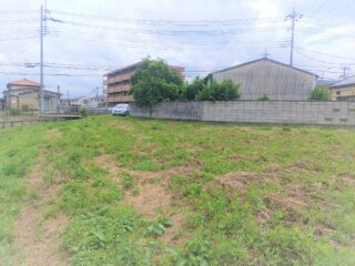 IMG_20230721_104717