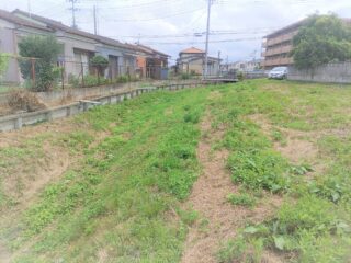 IMG_20230721_104730