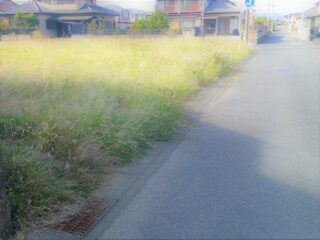 DSCF0011.jpg