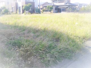 DSCF0013.jpg