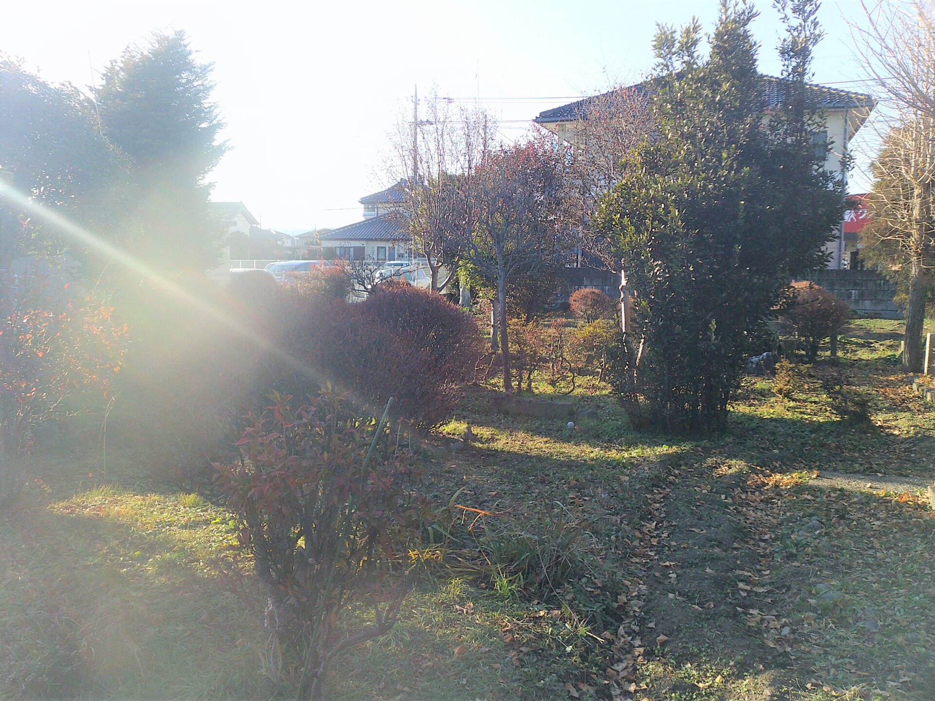 detached 都賀町合戦場