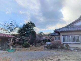 庭