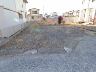 庭②