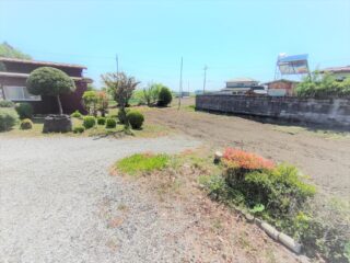 庭②