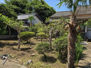 庭②