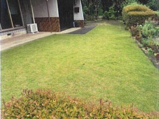 庭②