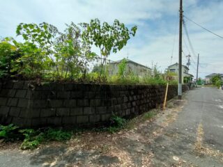 oplus_0