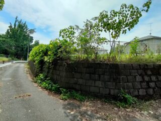 oplus_0