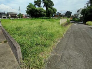oplus_0