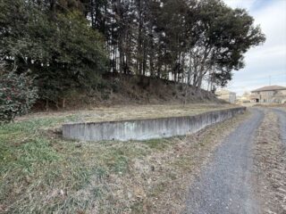 IMG_2550_R