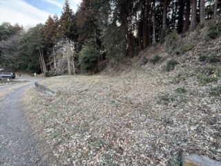 IMG_2552_R
