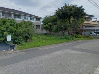 No.1130