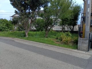 IMG_20260726_095351